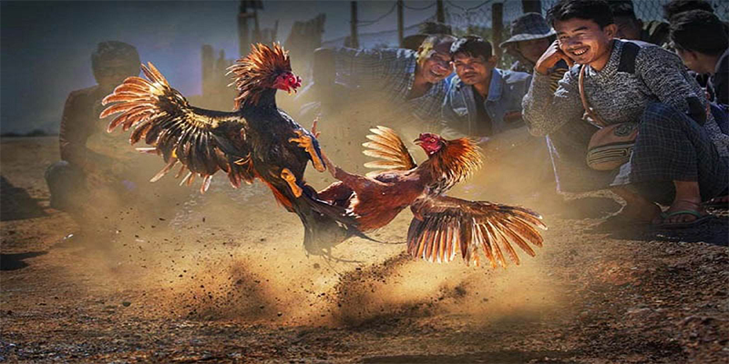 esport là gì
