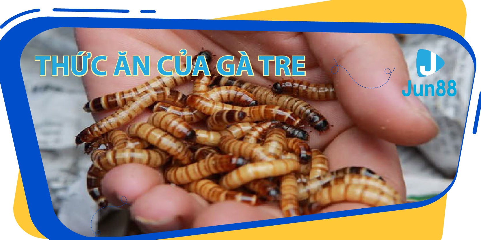 ee88 app trực tiếp xổ số miền bắc