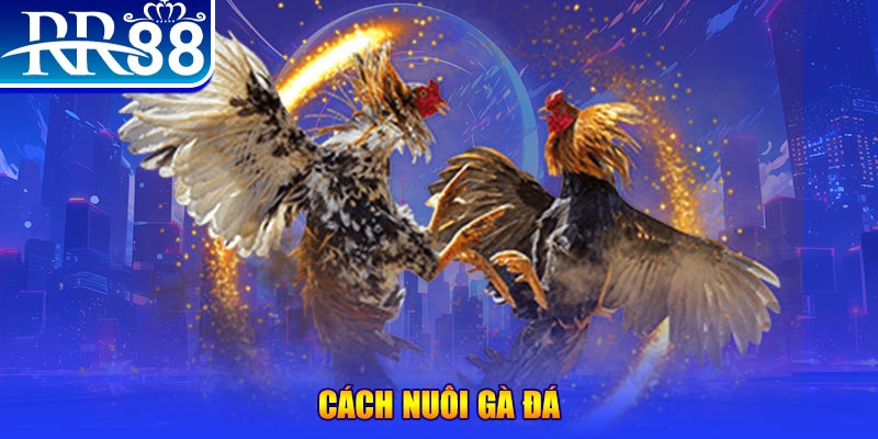ee88 app game nổ hũ là game gì