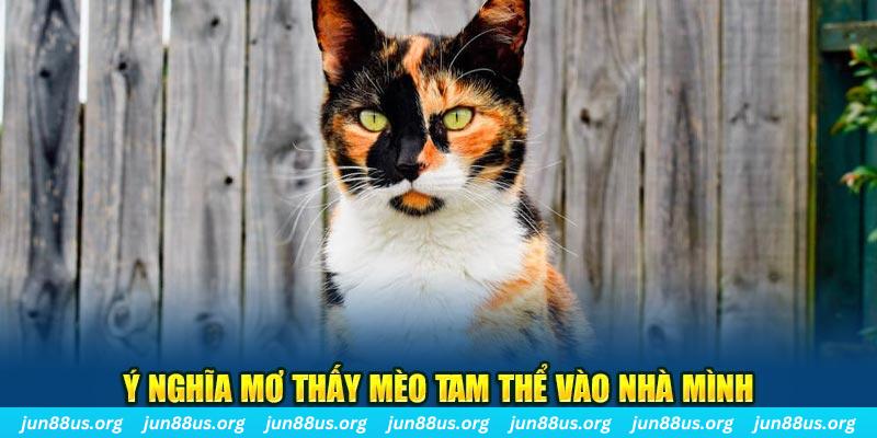 ee88 app how to gamble in a casino