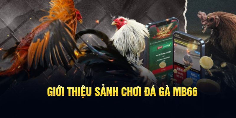 ee88 app what are the most popular casino games